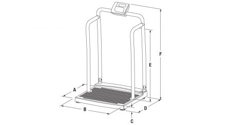 NEW Rice Lake 250-10-2 Bariatric Handrail Scale 1000 x 0.2 lb