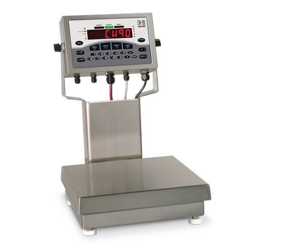 RICE LAKE CW-90 Over/Under Checkweigher