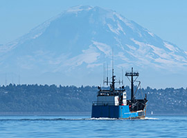 Commercial Fishing